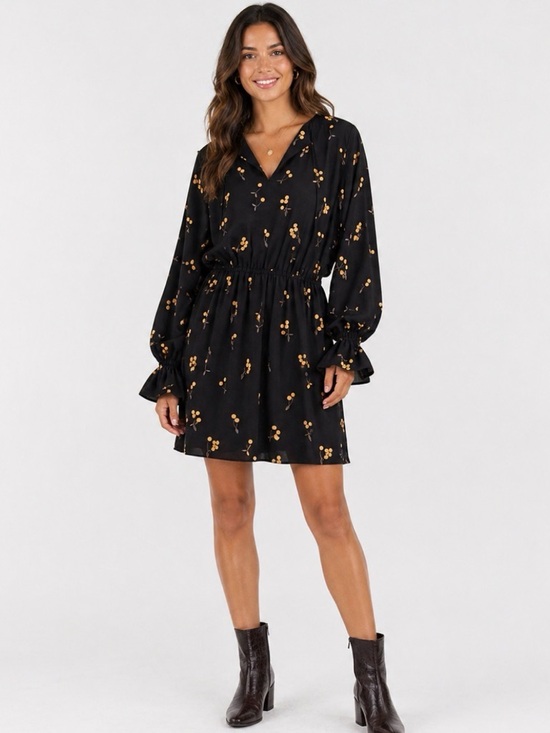 baum & pferdgarden Dresses & Skirts - Baum Und Pferdgarten Dress Black Cherry Print